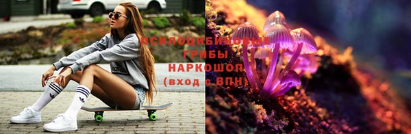 герыч Абаза