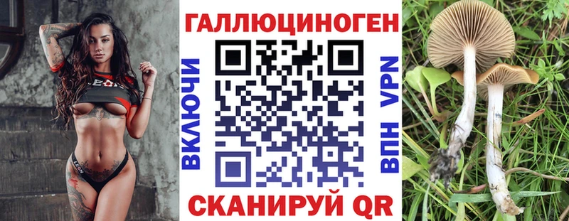 хочу наркоту  Цоци-Юрт  Псилоцибиновые грибы ЛСД 